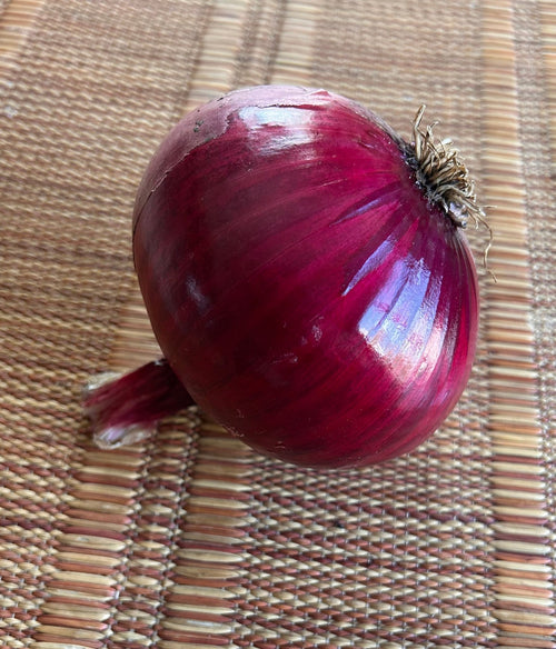 Red Creole Onions - Mint Springs FarmRed Creole OnionsRed Creole OnionsRed Creole OnionsMint Springs Farm Mint Springs Farm