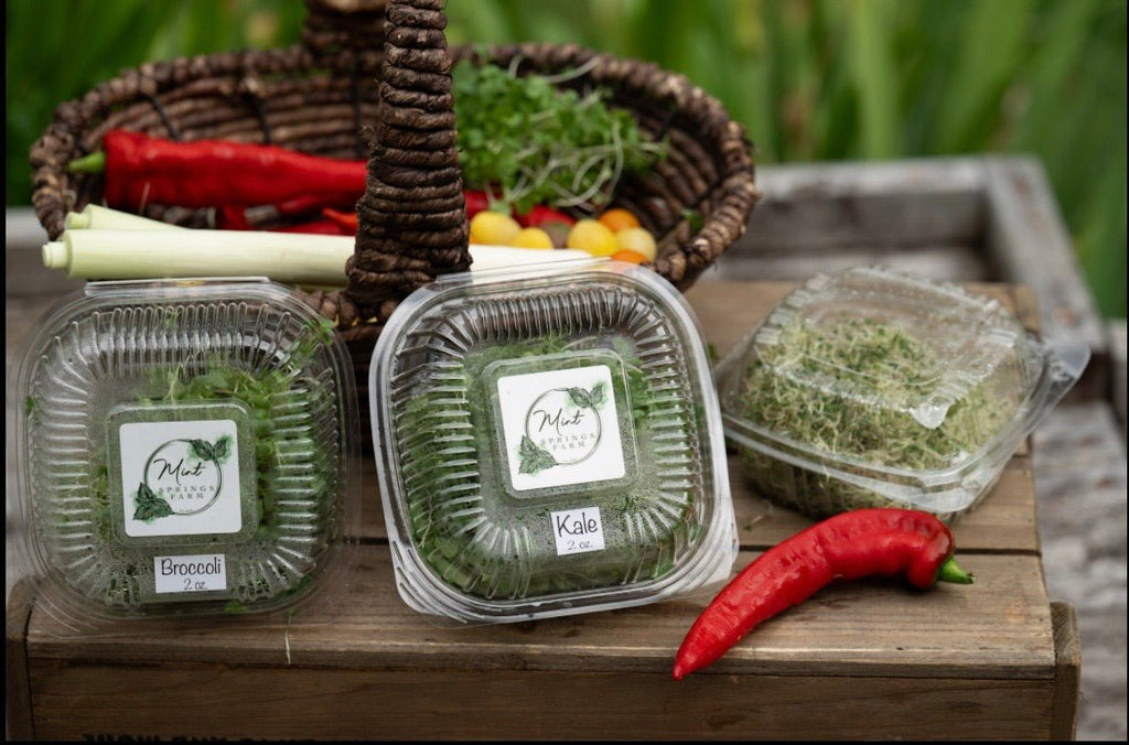 Weekly Microgreen and Veggie Box 2026 Season (New Market Presbyterian Church drop-off point) - Mint Springs FarmWeekly Microgreen and Veggie Box 2026 Season (New Market Presbyterian Church drop-off point)Weekly Microgreen and Veggie Box 2026 Season (New Market Presbyterian Church drop-off point)Weekly Microgreen and Veggie Box 2026 Season (New Market Presbyterian Church drop-off point)Mint Springs FarmMint Springs Farm